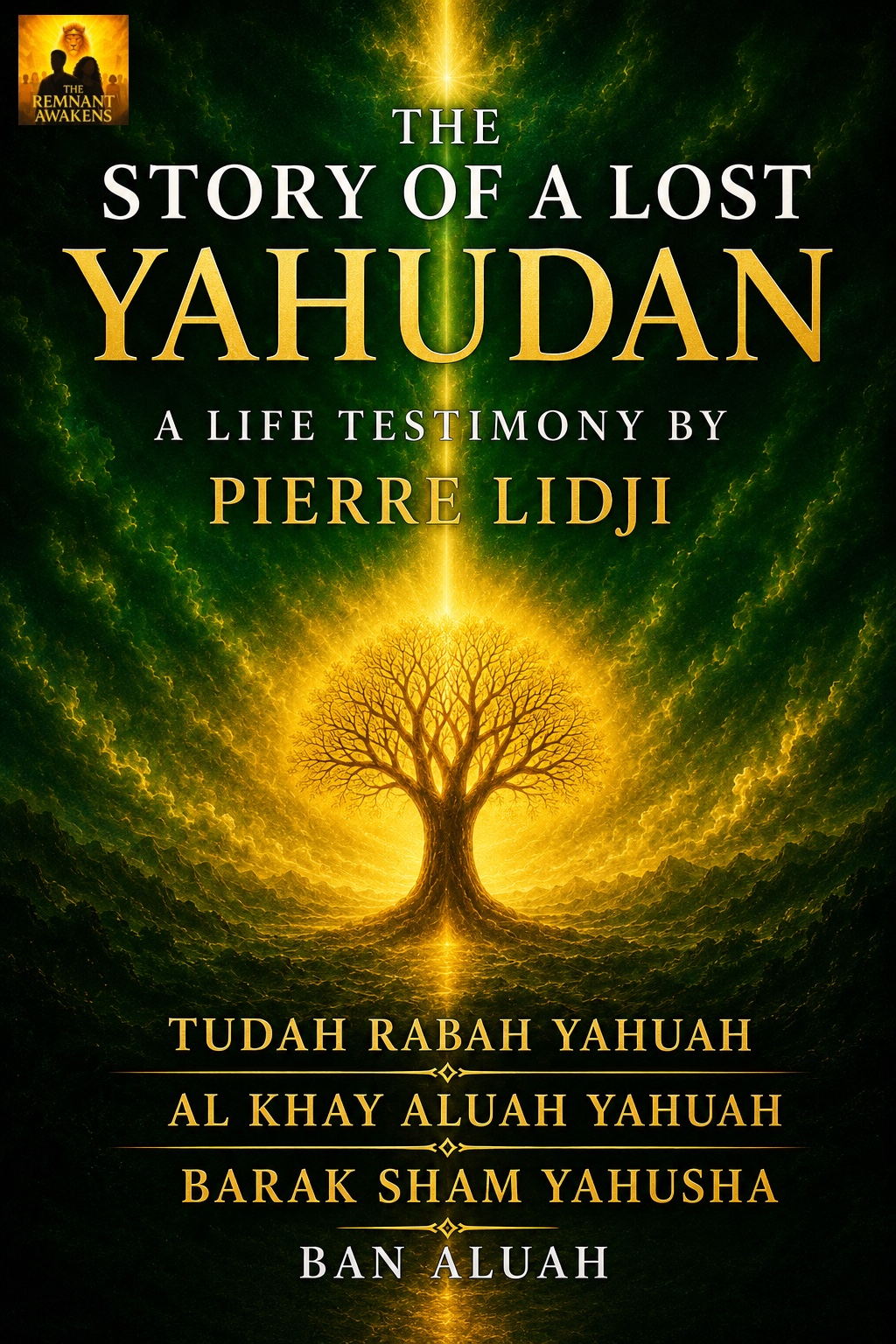The Story of a Lost Yahudan book cover